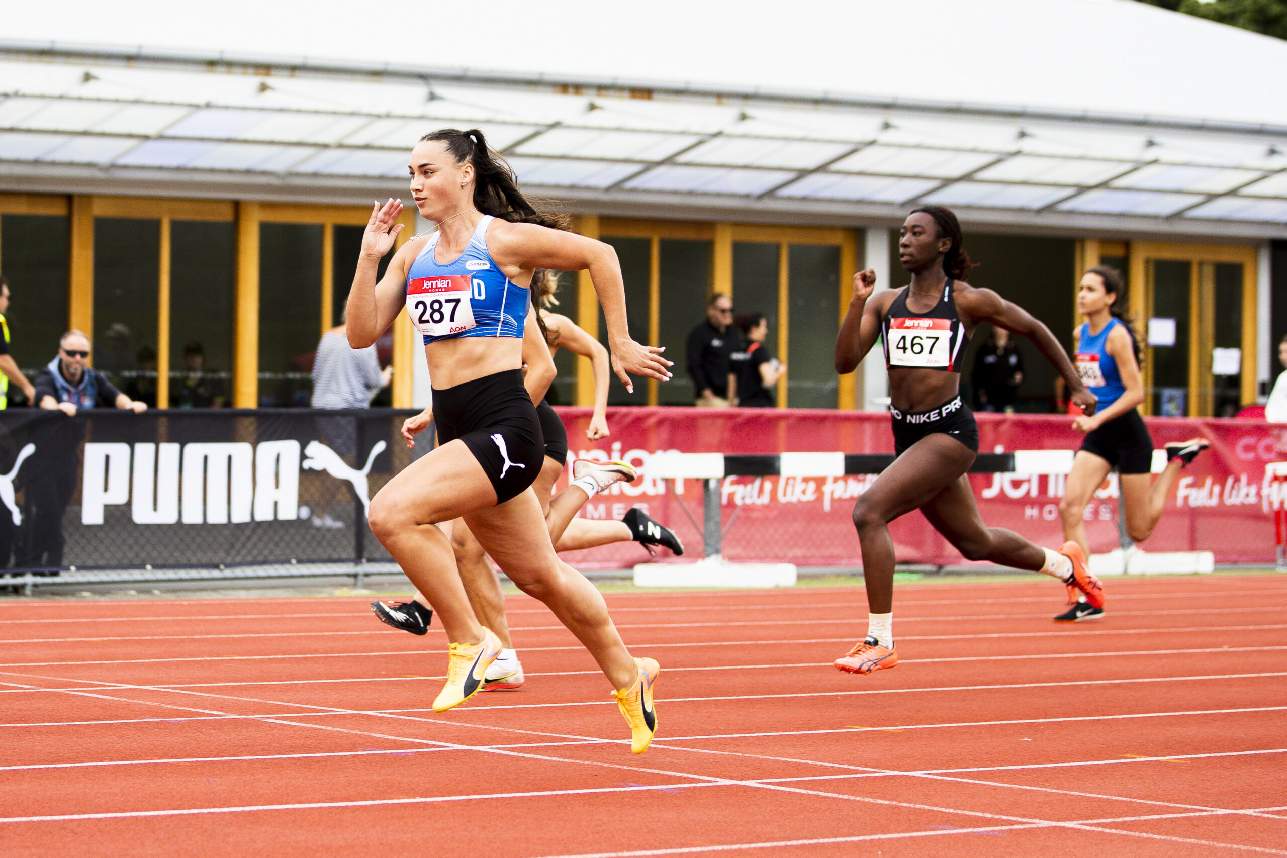 书写新的传 书写新的传