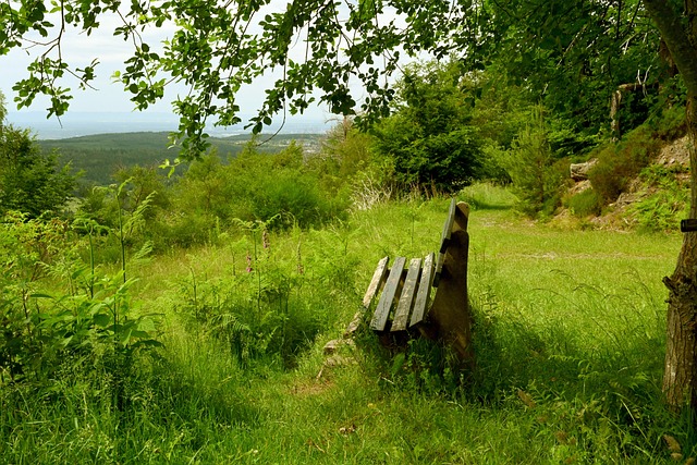 據她的同學 據她的同學