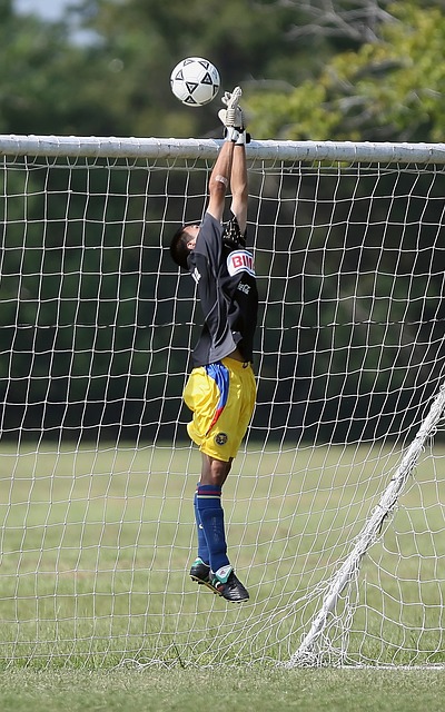 场上的适应 场上的适应